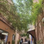 IMG 20260411 WA0049